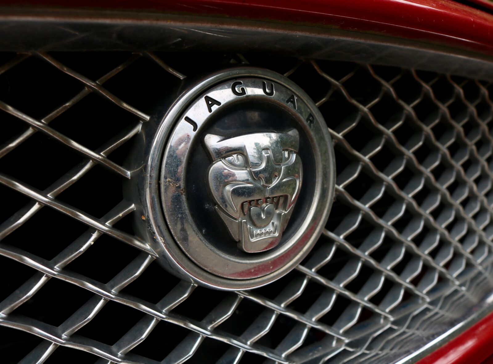 Canon EOS 750D (EOS Rebel T6i / EOS Kiss X8i) sample photo. Luxury, jaguar, auto photography
