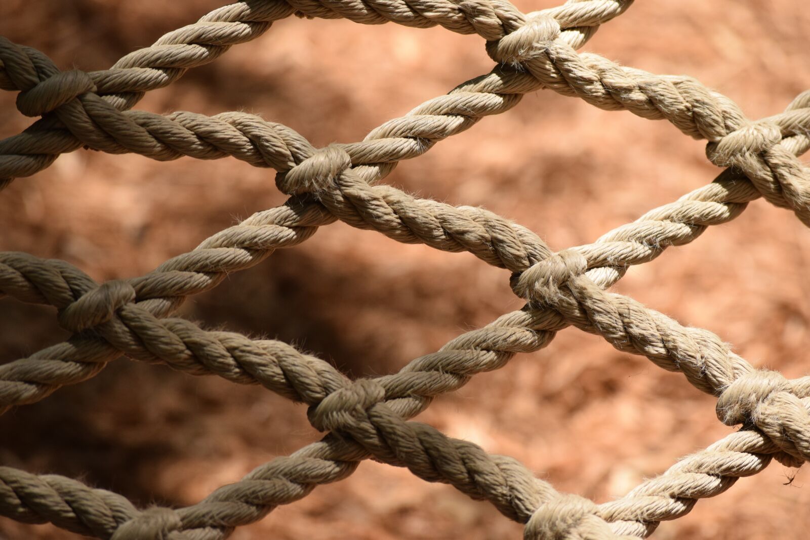 Nikon D3300 sample photo. Rope, net, fishing photography