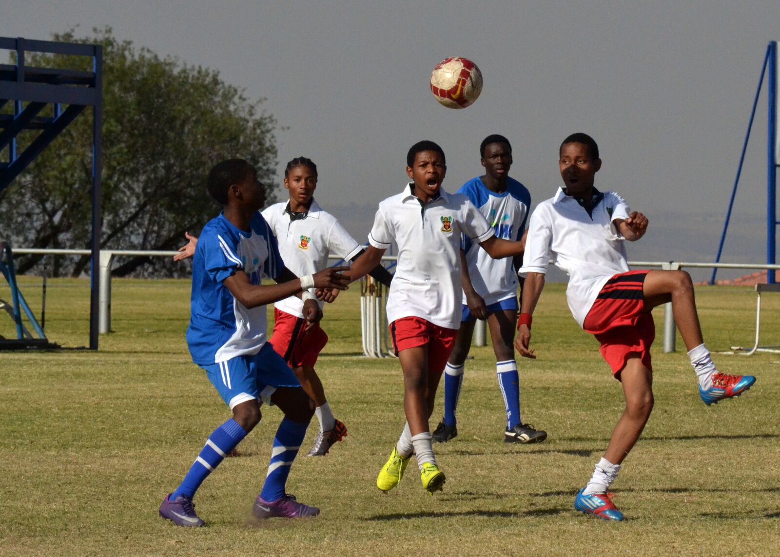 Nikon D3100 sample photo. Sport, soccer, training photography