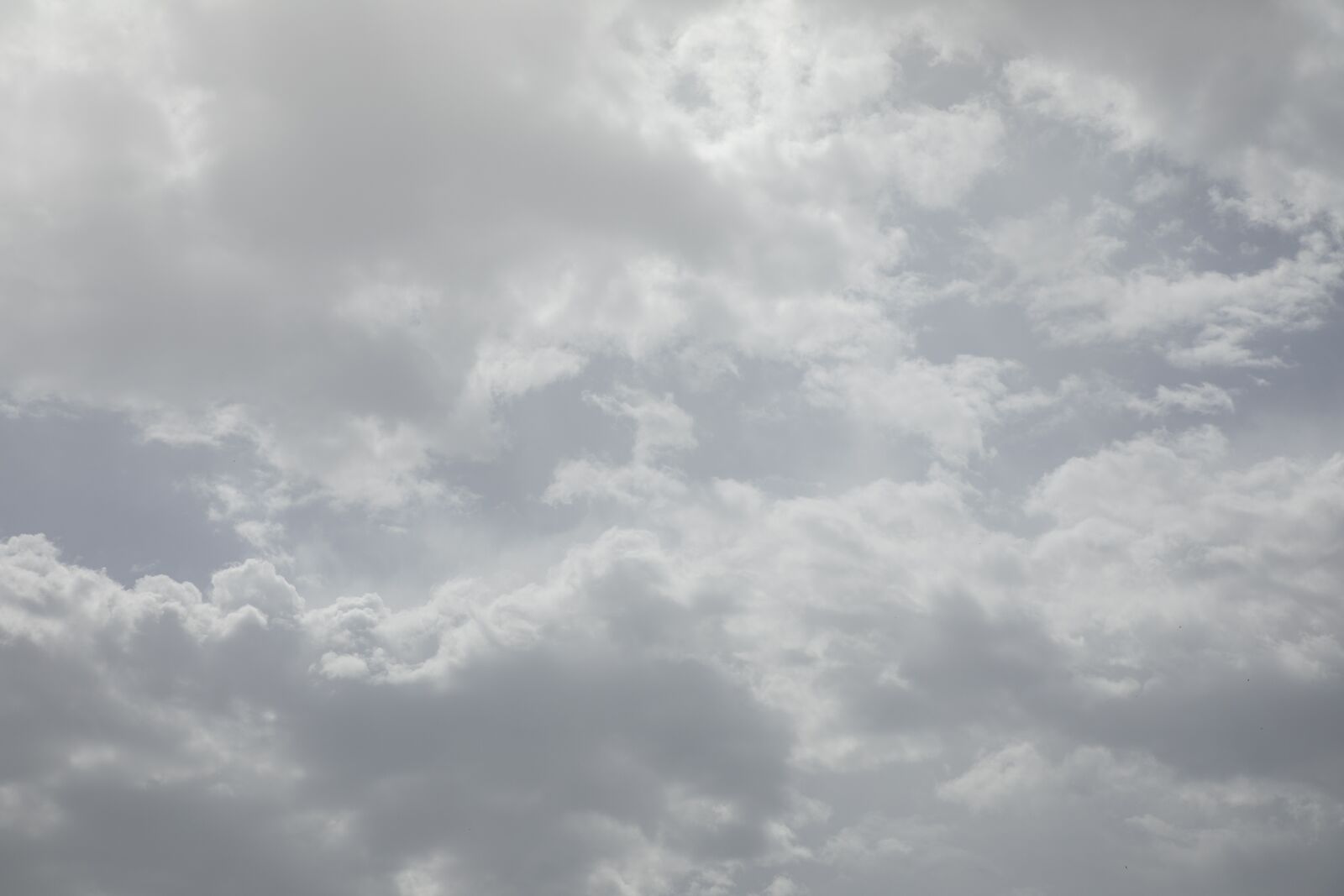 Canon EF 24-105mm F4L IS USM sample photo. Cloud, sunny, sky photography
