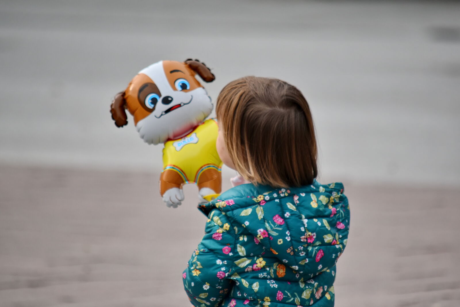 Nikon D5500 sample photo. Balloon, childhood, happy, helium photography