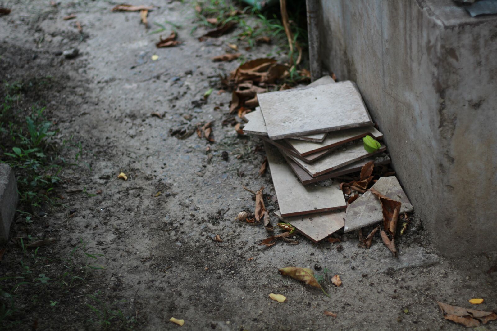Canon EF 50mm F1.8 STM sample photo. Only, bleak, scenic photography