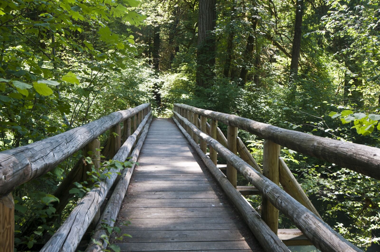 Nikon D300S sample photo. Bridge, pathway, planked photography