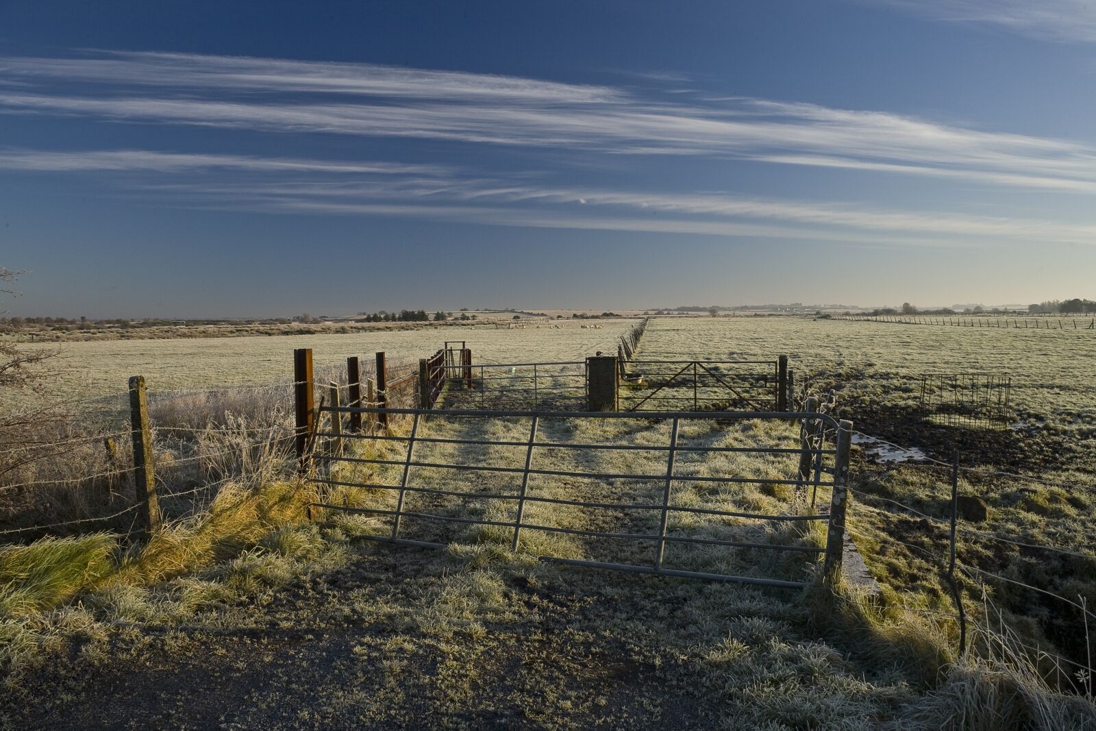 Canon EOS 5D sample photo. Winter, frost, field photography