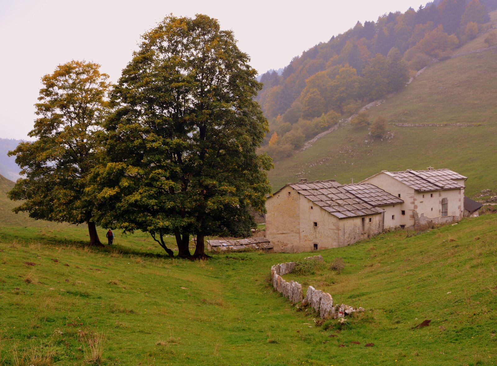 Nikon D7100 sample photo. Hiking, trees, borgo photography