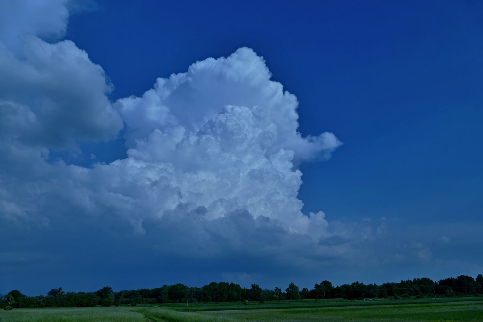 Panasonic Lumix DMC-FZ1000 sample photo. The clouds, nature, the photography