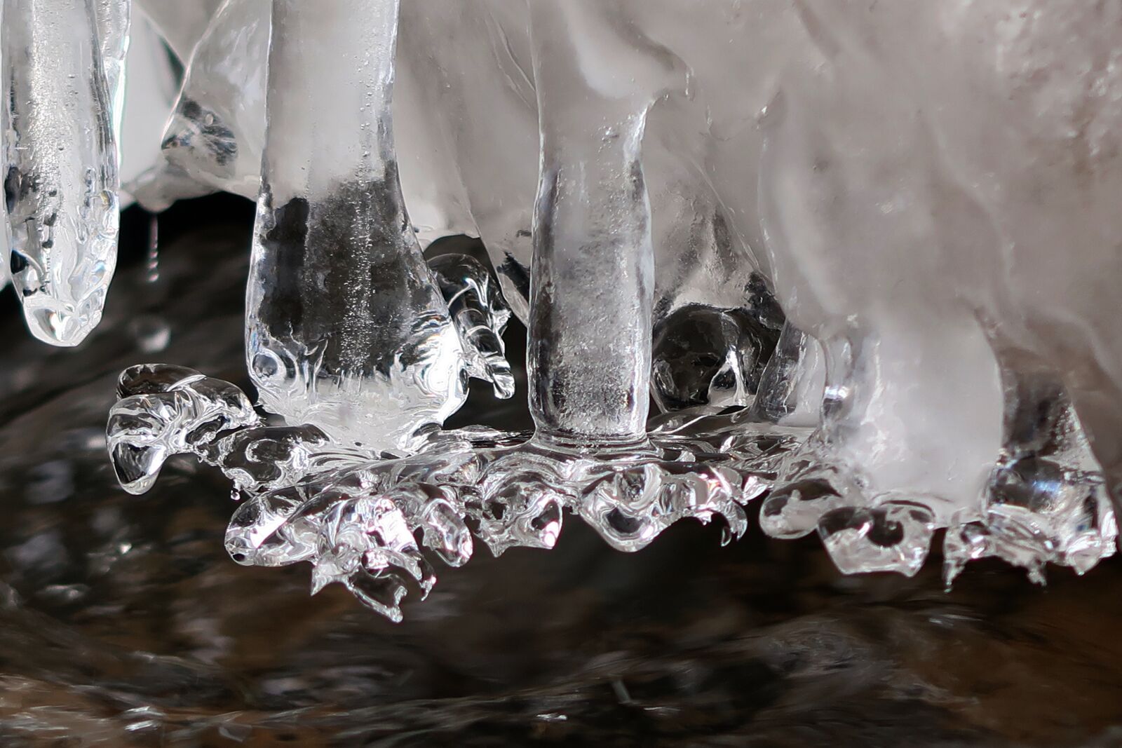 Canon PowerShot G7 X Mark II sample photo. Icicles, snow, winter photography