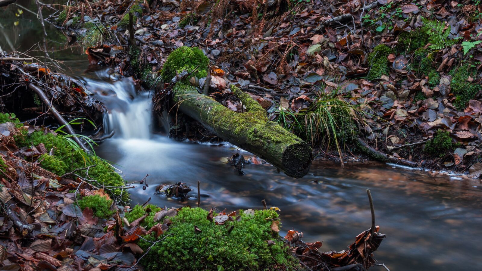 Olympus PEN E-PL6 sample photo. Nature, river, waterfall photography