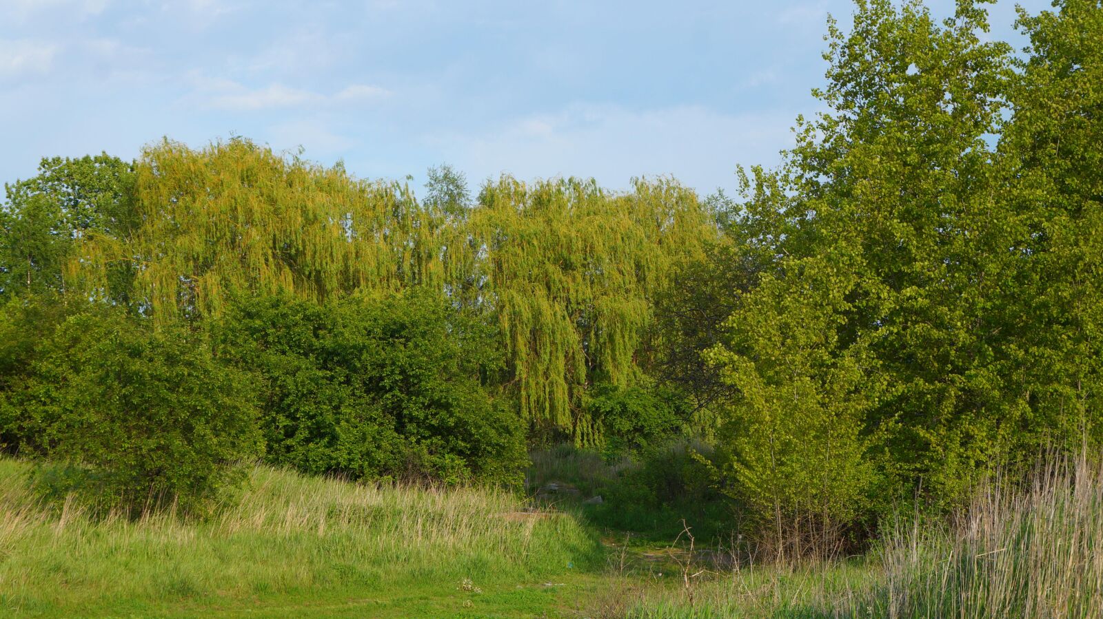 Sony Alpha a3000 sample photo. Landscape, nature, view photography