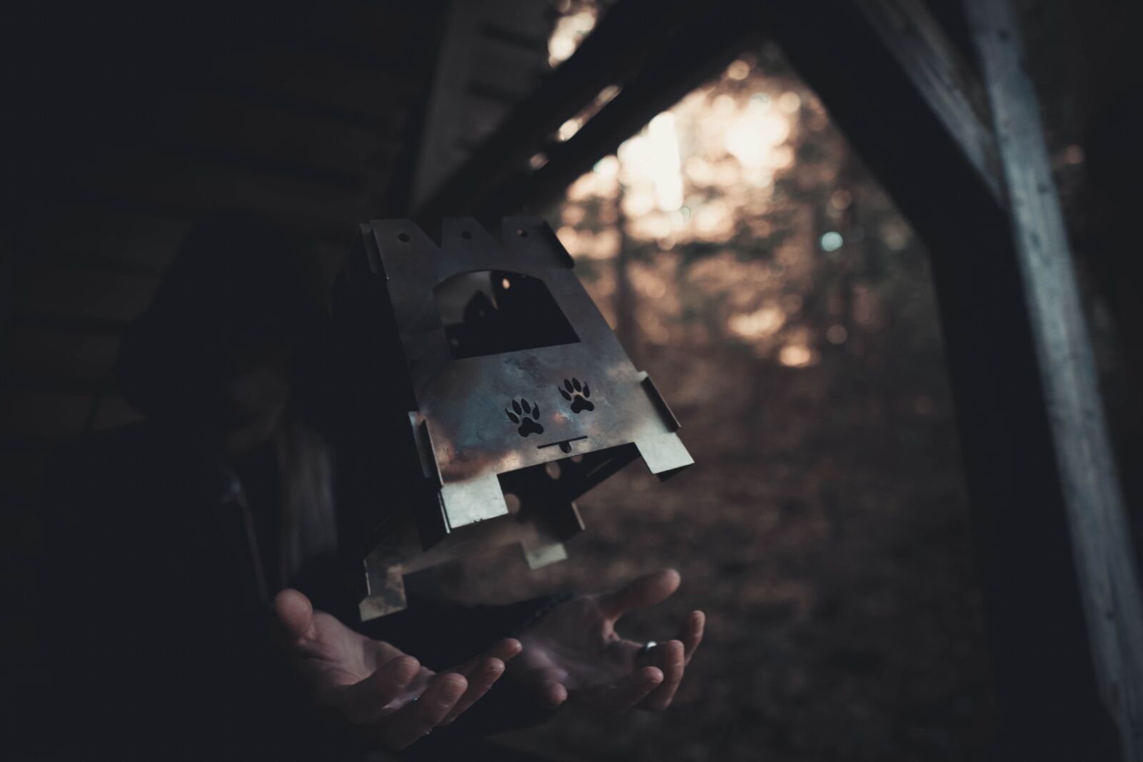 Sony a6400 + Sigma 16mm F1.4 DC DN | C sample photo. Forest, blade, outdoor photography