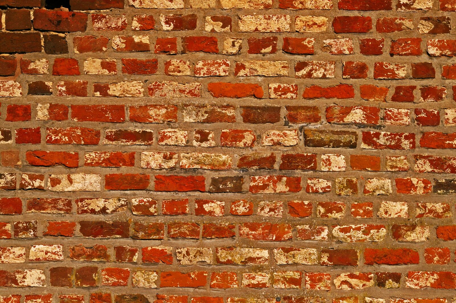 Pentax *ist DL2 sample photo. Wall, stone wall, city photography