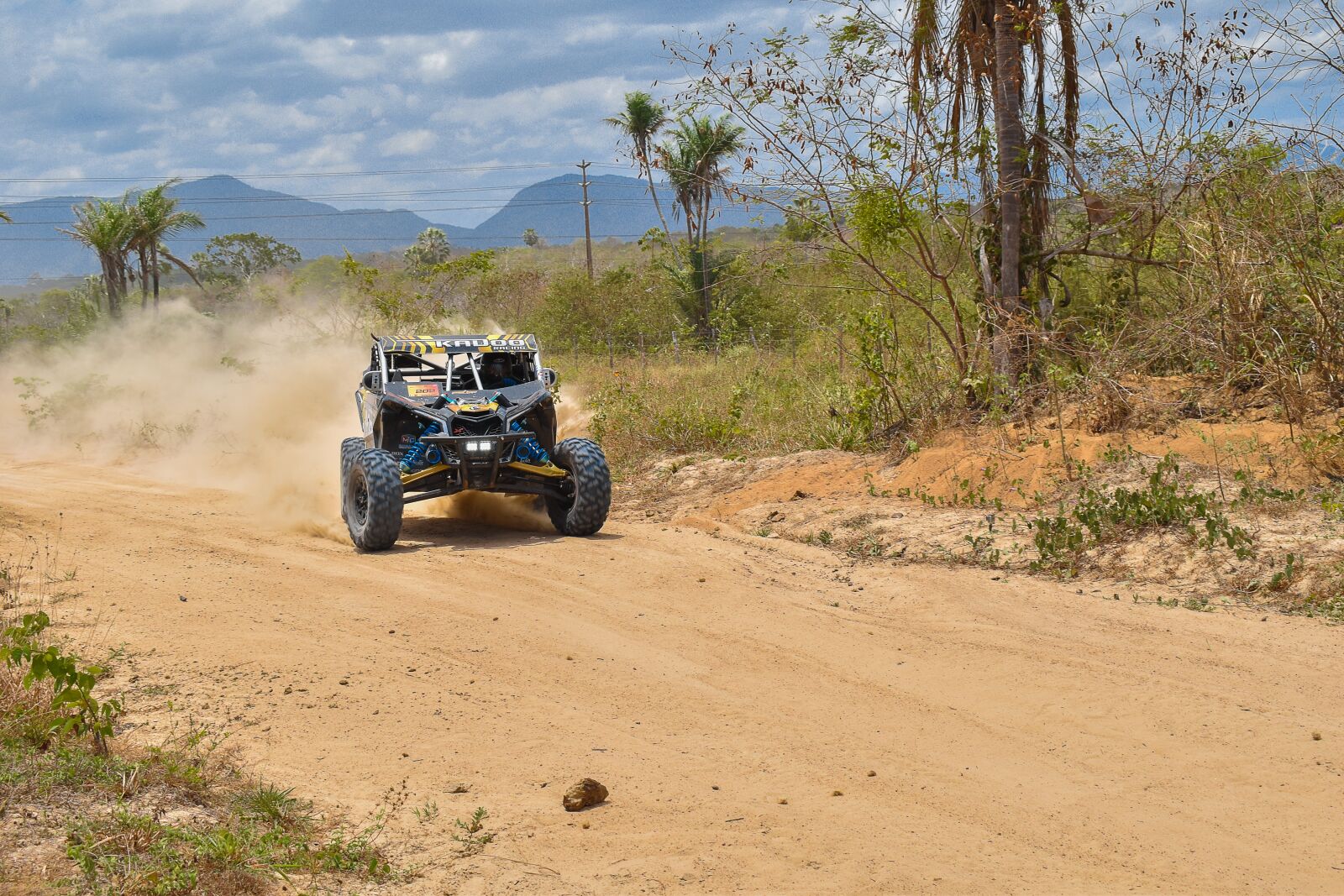 Nikon D5600 sample photo. Offroad, nature, the rally photography