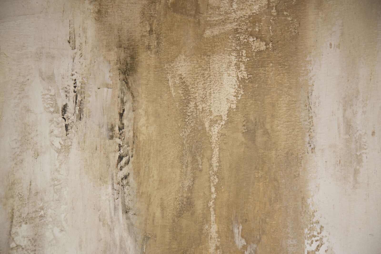 Canon EF 24-105mm F4L IS USM sample photo. Texture, canvas, artist photography