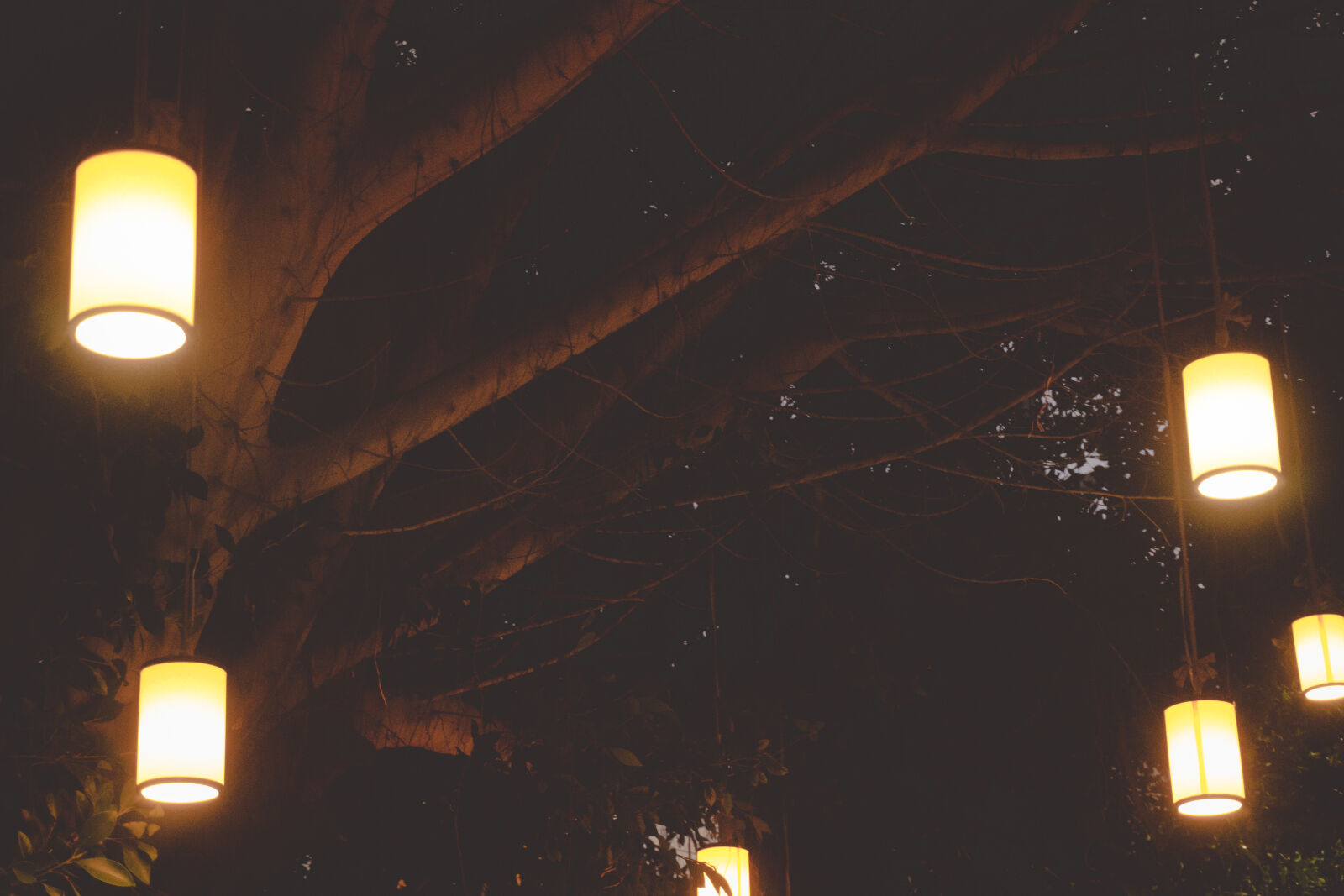 Sony a6000 sample photo. Blur, bright, bulb, dark photography