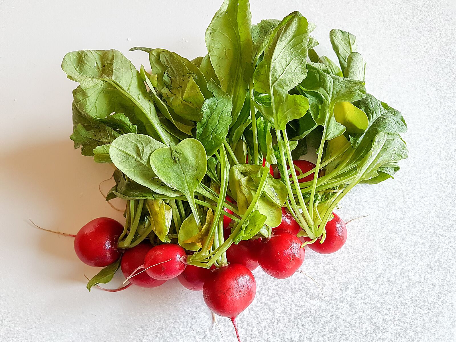 Samsung Galaxy S7 Edge sample photo. Healthy, food, leaf plants photography