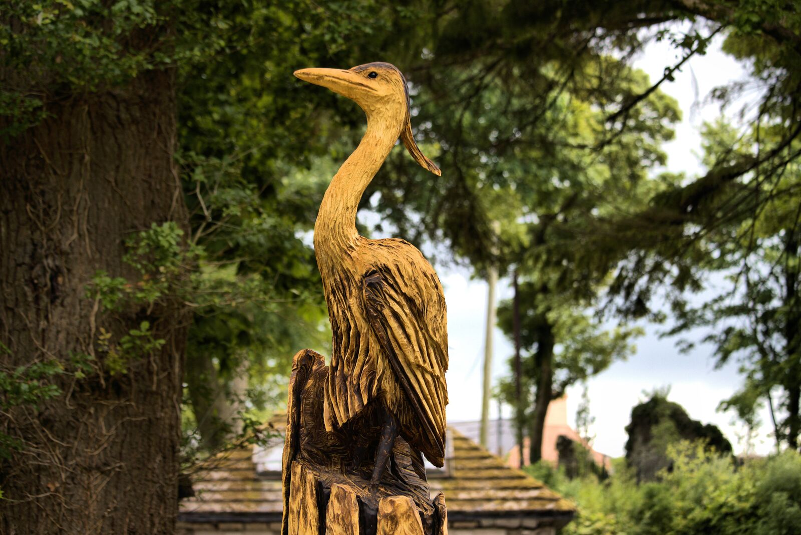 Canon EOS 90D sample photo. Wood carving, heron, sculpture photography