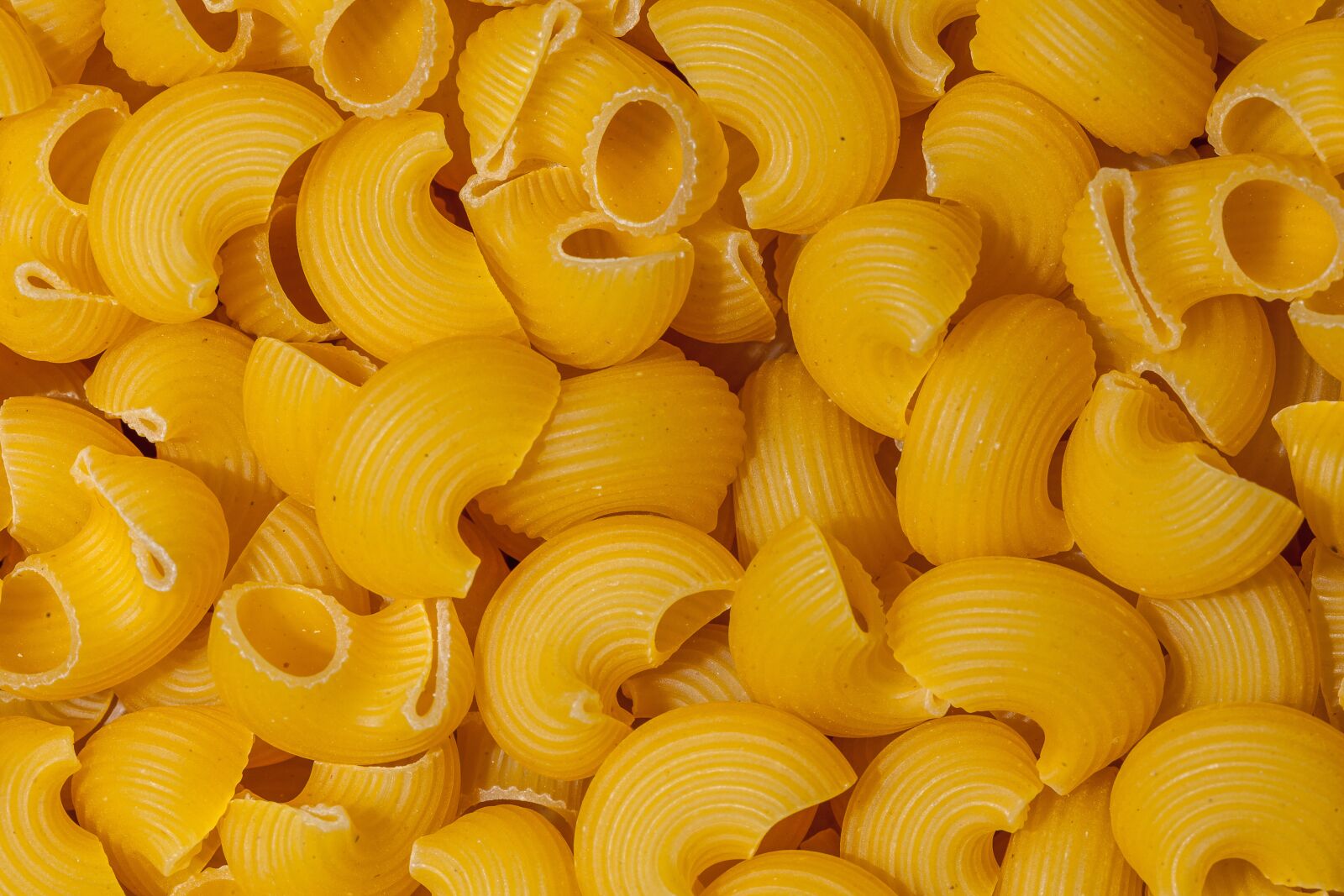 Canon EF 100mm F2.8L Macro IS USM sample photo. Food, pasta, italian photography