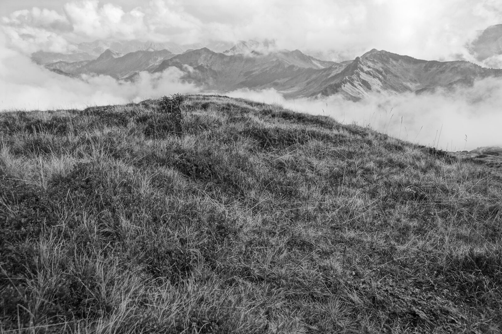 Sony SLT-A58 sample photo. Mountains, alpine, greened photography