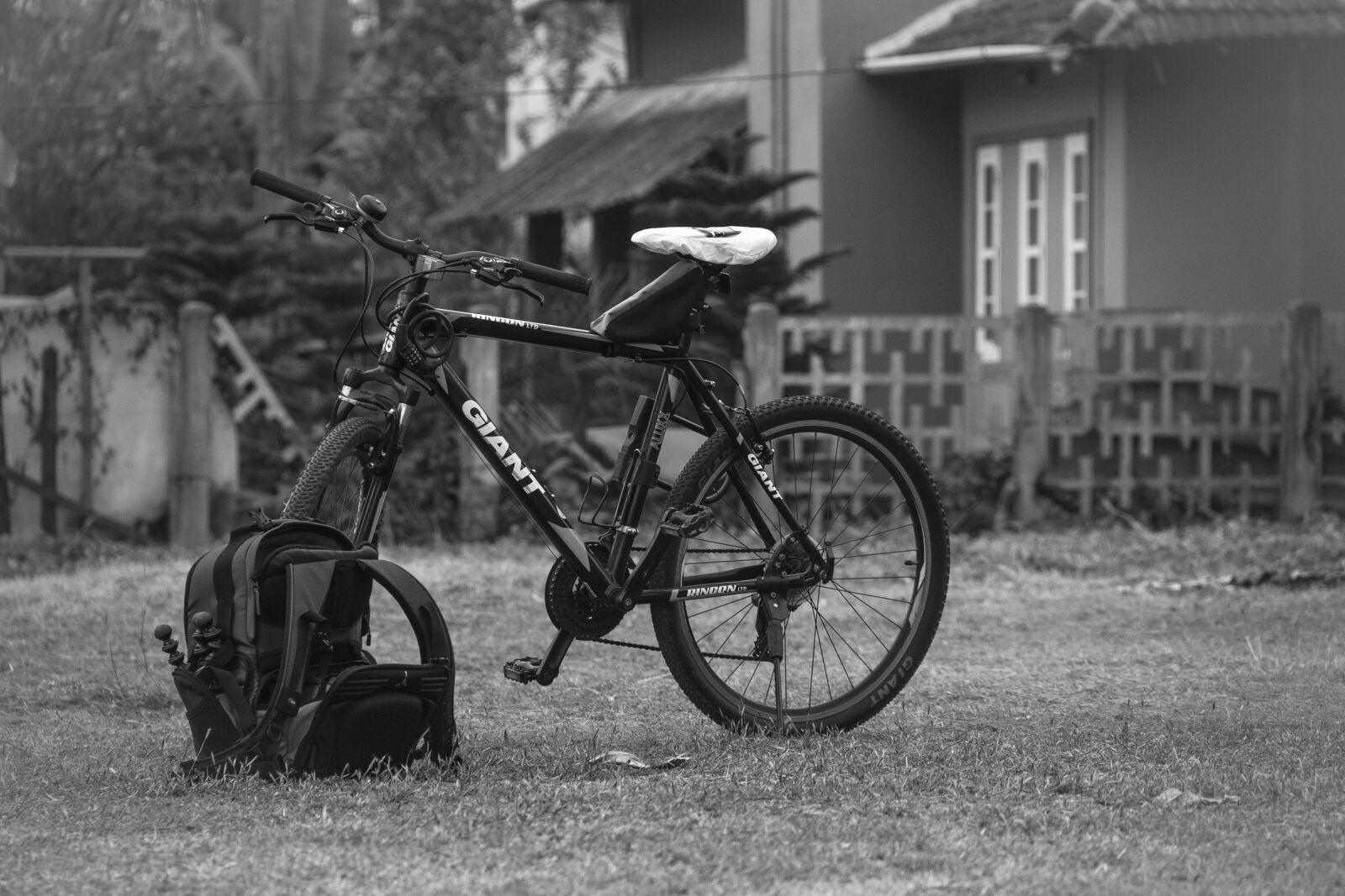 Canon EOS 60D sample photo. Bike, gear, giant photography