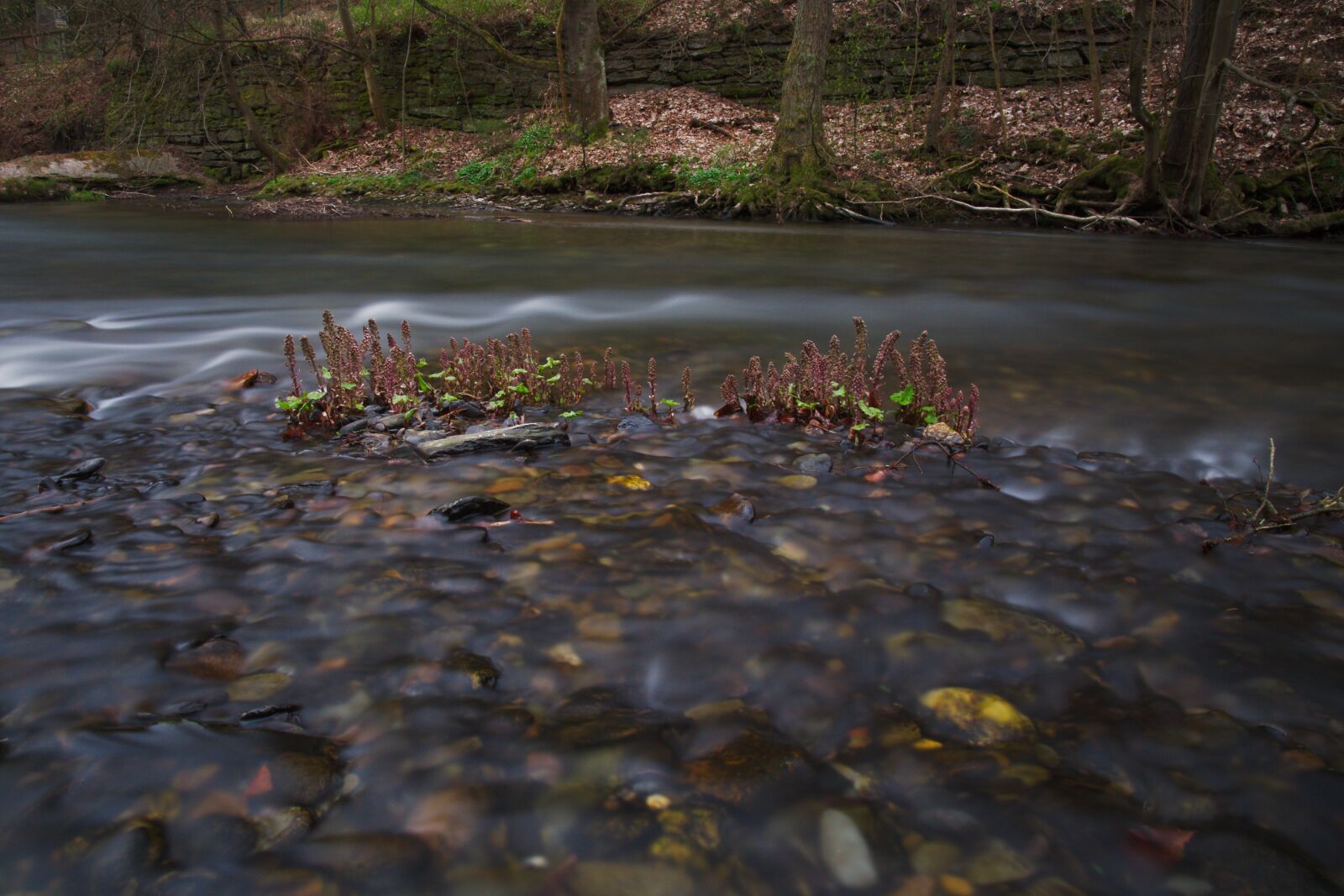 Canon EOS 6D sample photo. Waters, nature, river photography
