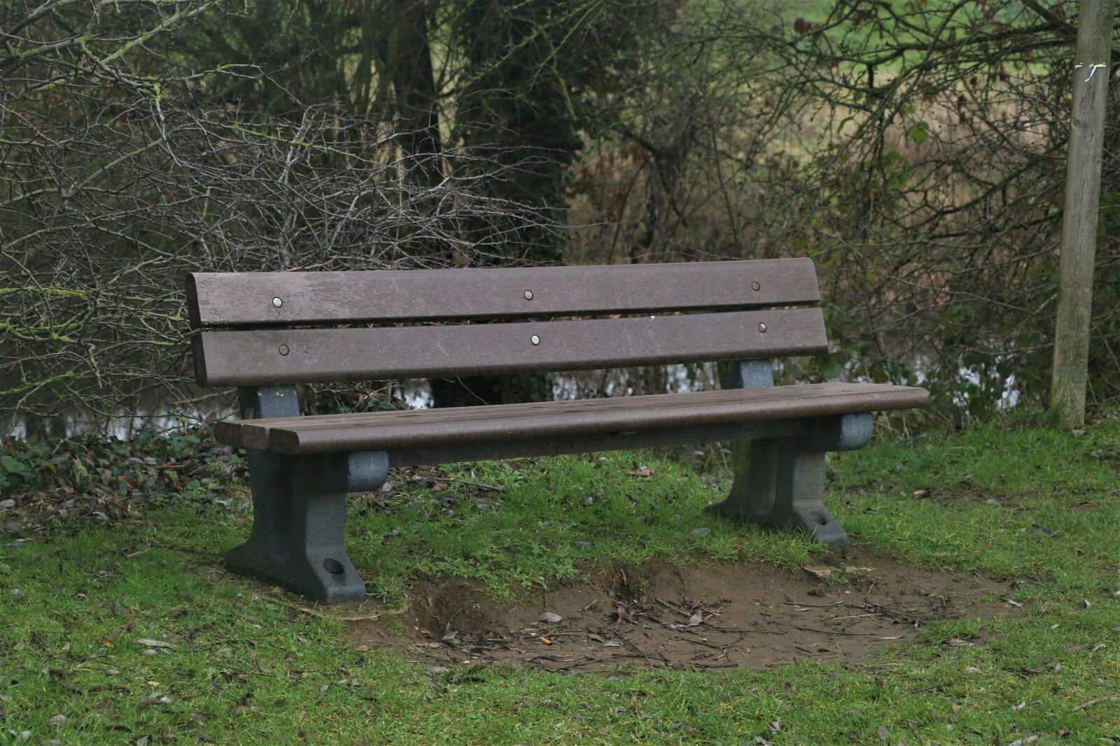 Canon EOS 7D Mark II sample photo. Park bench, seat, wood photography