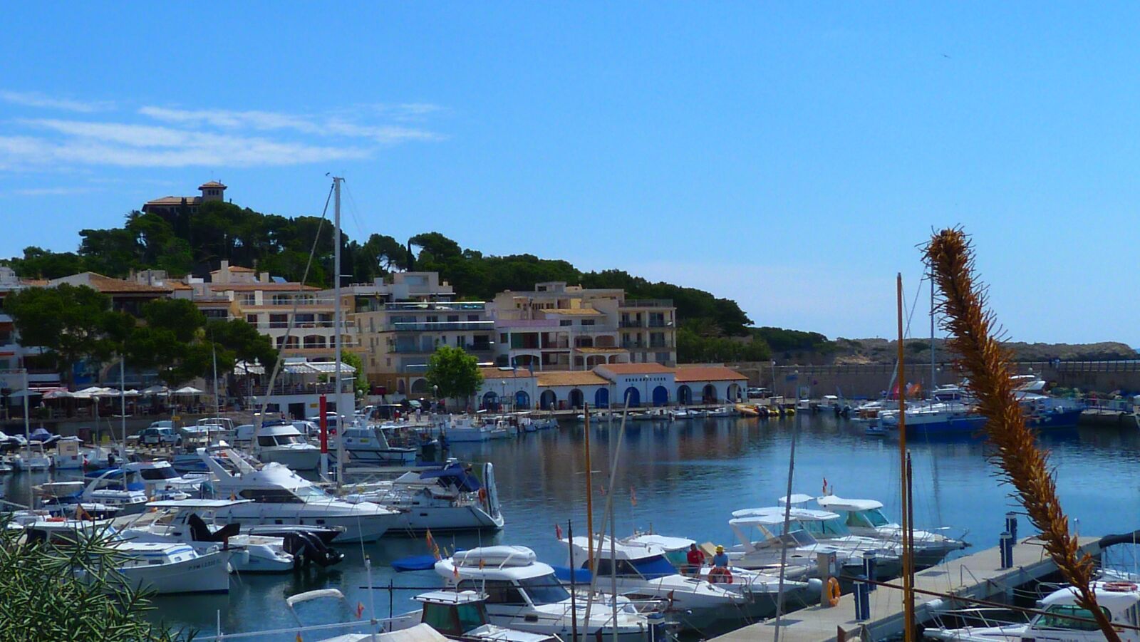 Panasonic Lumix DMC-FZ40 (Lumix DMC-FZ45) sample photo. Port, boats, yachts photography