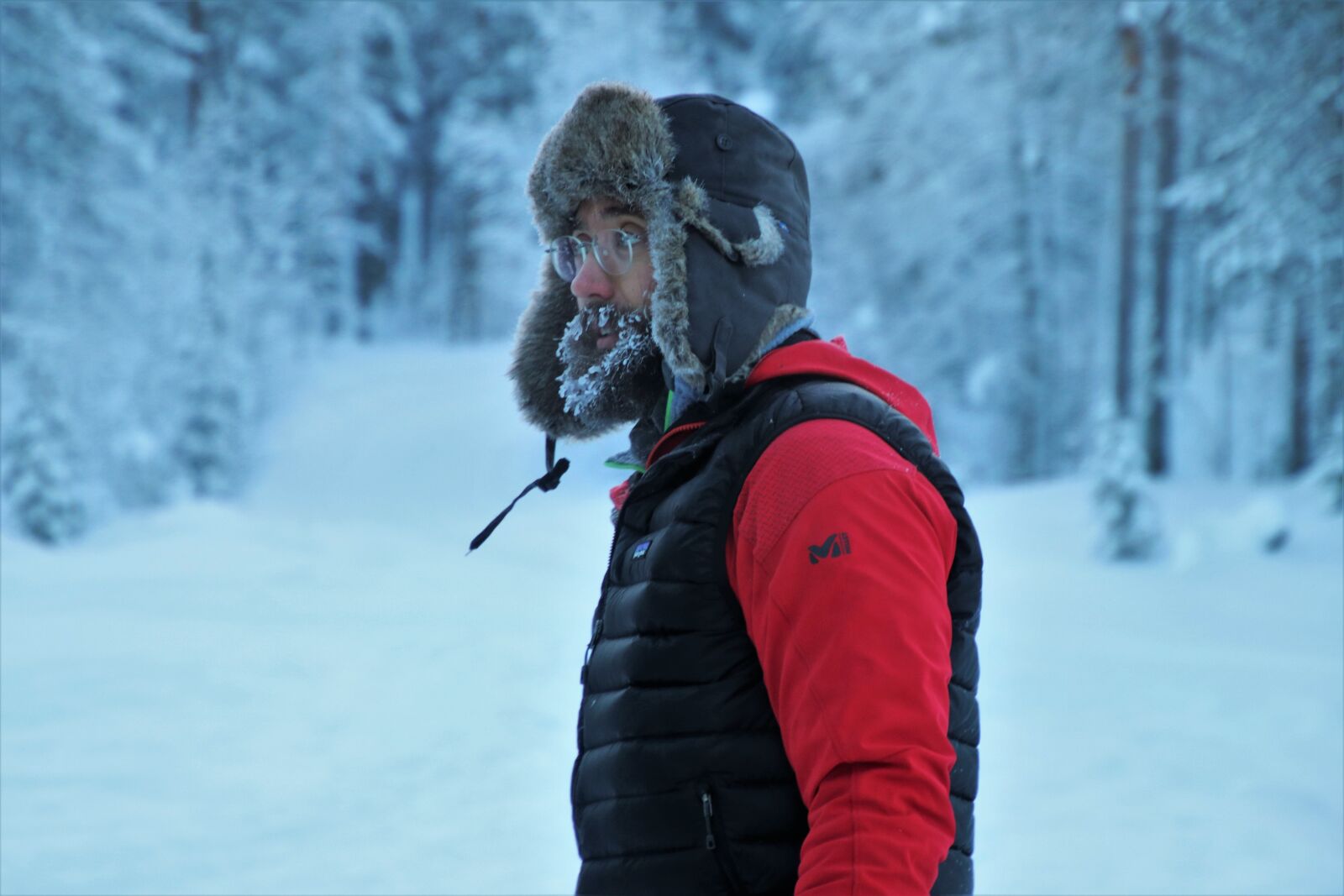 Canon EOS 80D sample photo. Lapland, it, winter photography