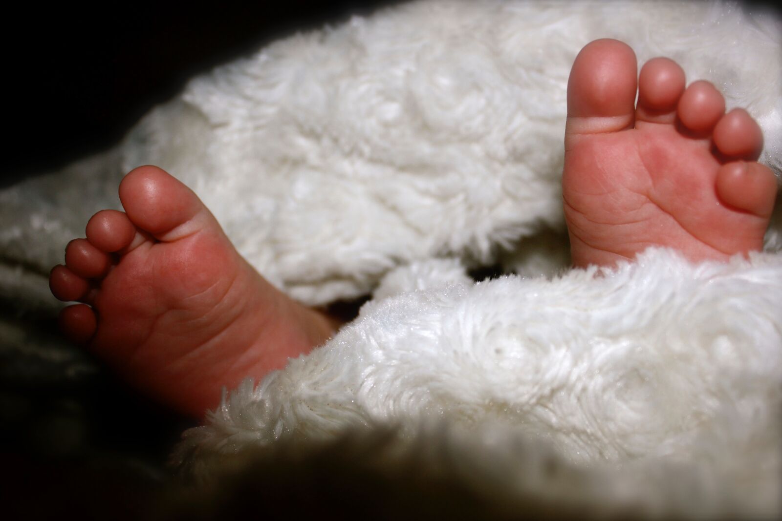 Canon EOS 550D (EOS Rebel T2i / EOS Kiss X4) sample photo. Foot, baby, children photography