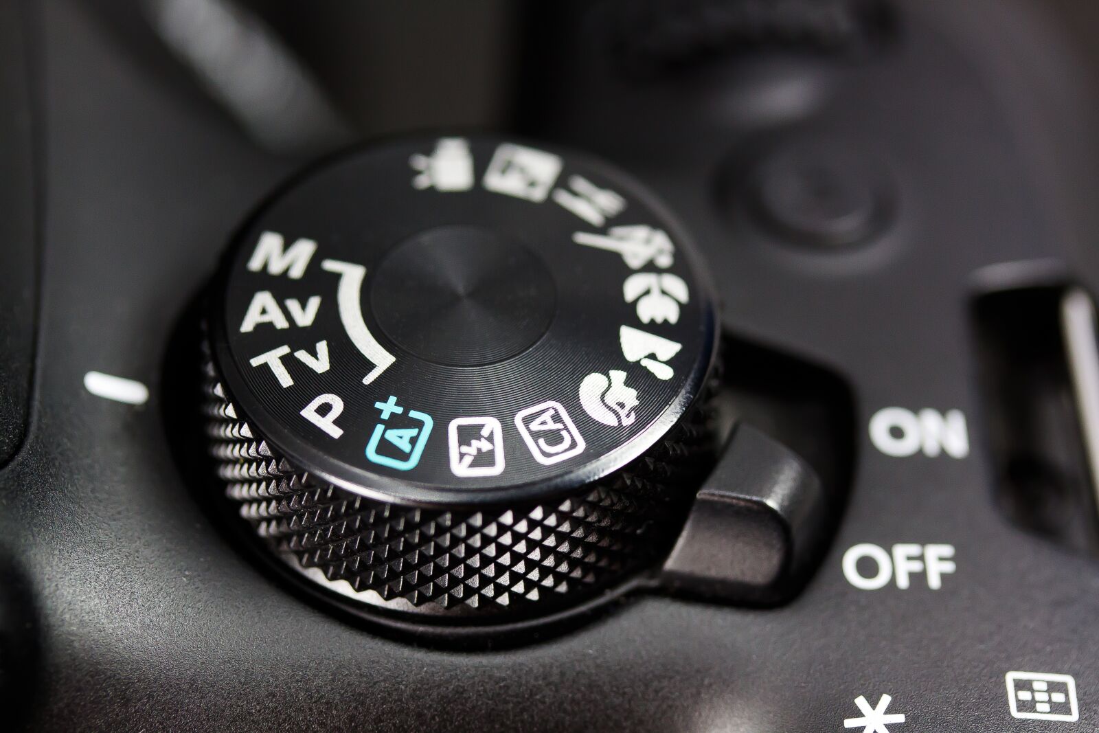 Canon EOS 50D + Canon EF-S 60mm F2.8 Macro USM sample photo. Camera, digital, srl camera photography