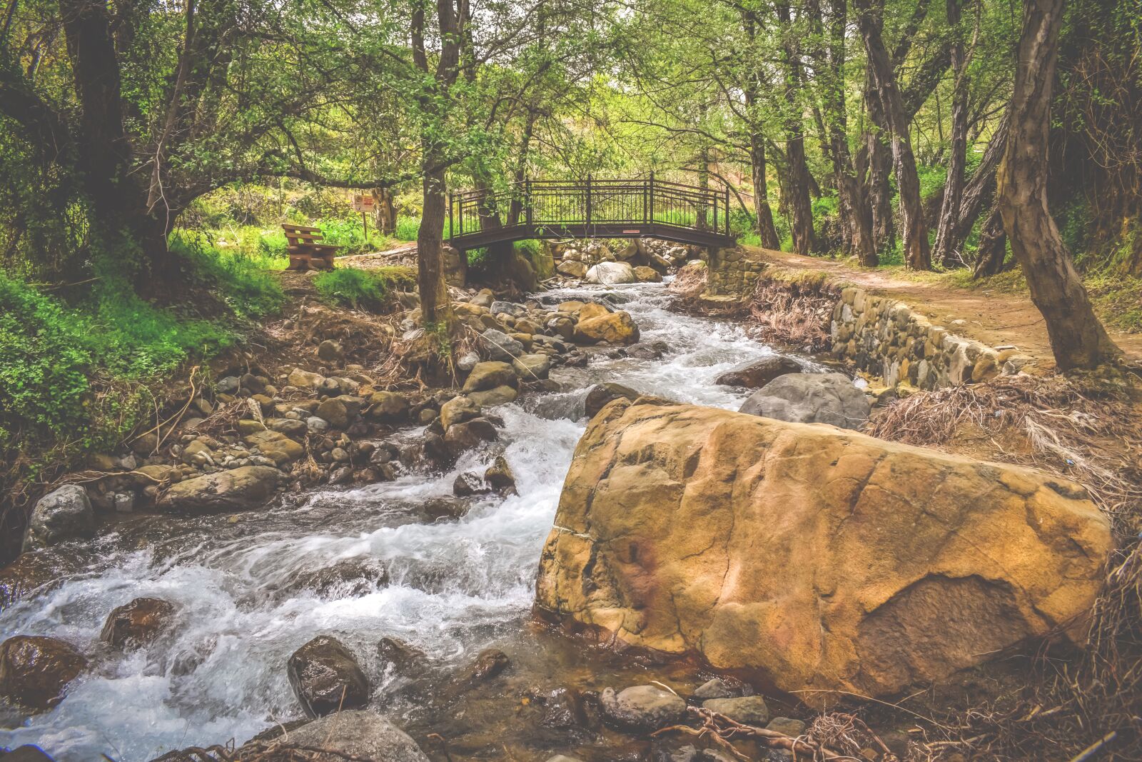Nikon D3300 sample photo. Stream, creek, scenic photography