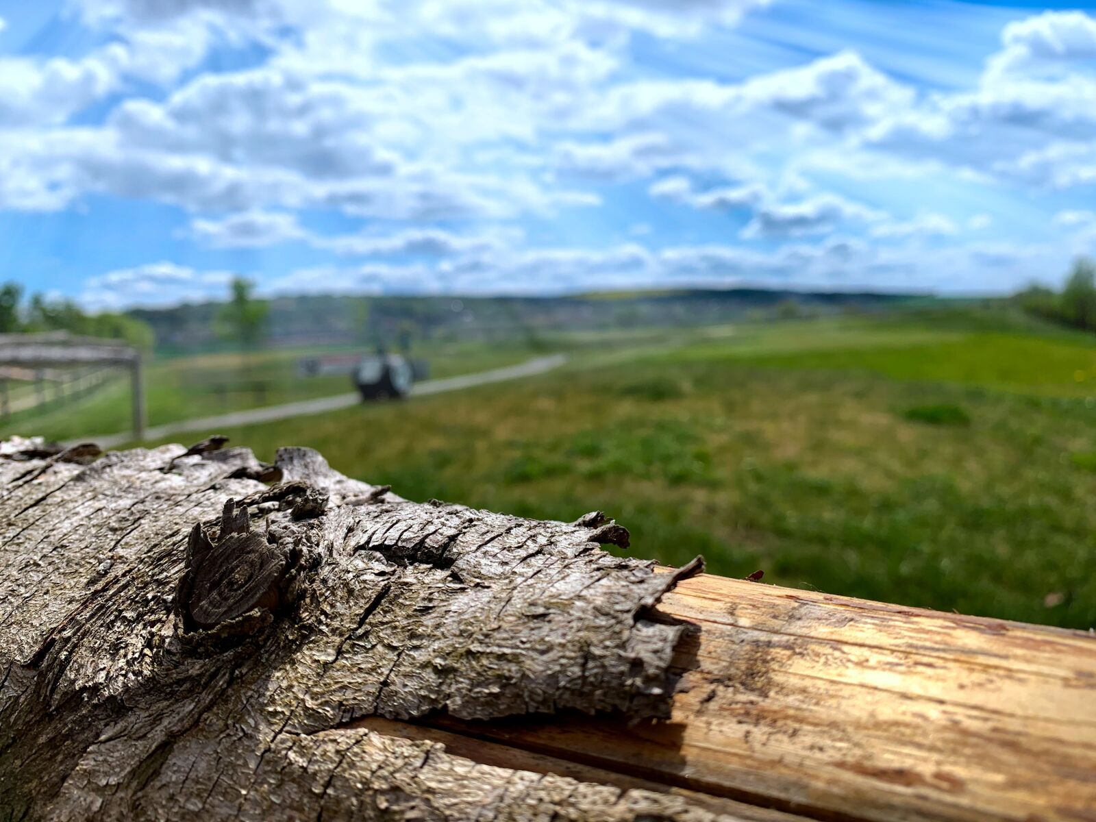 iPhone XS back dual camera 4.25mm f/1.8 sample photo. Golf, sun, golfing photography