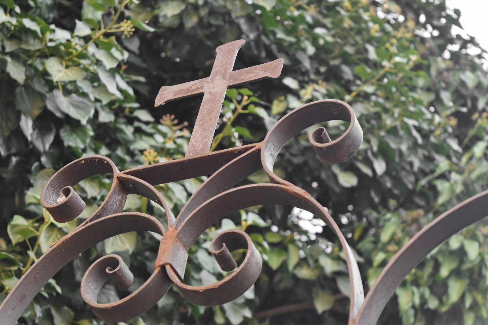 Nikon D5500 sample photo. Cast iron, christianity, cross photography