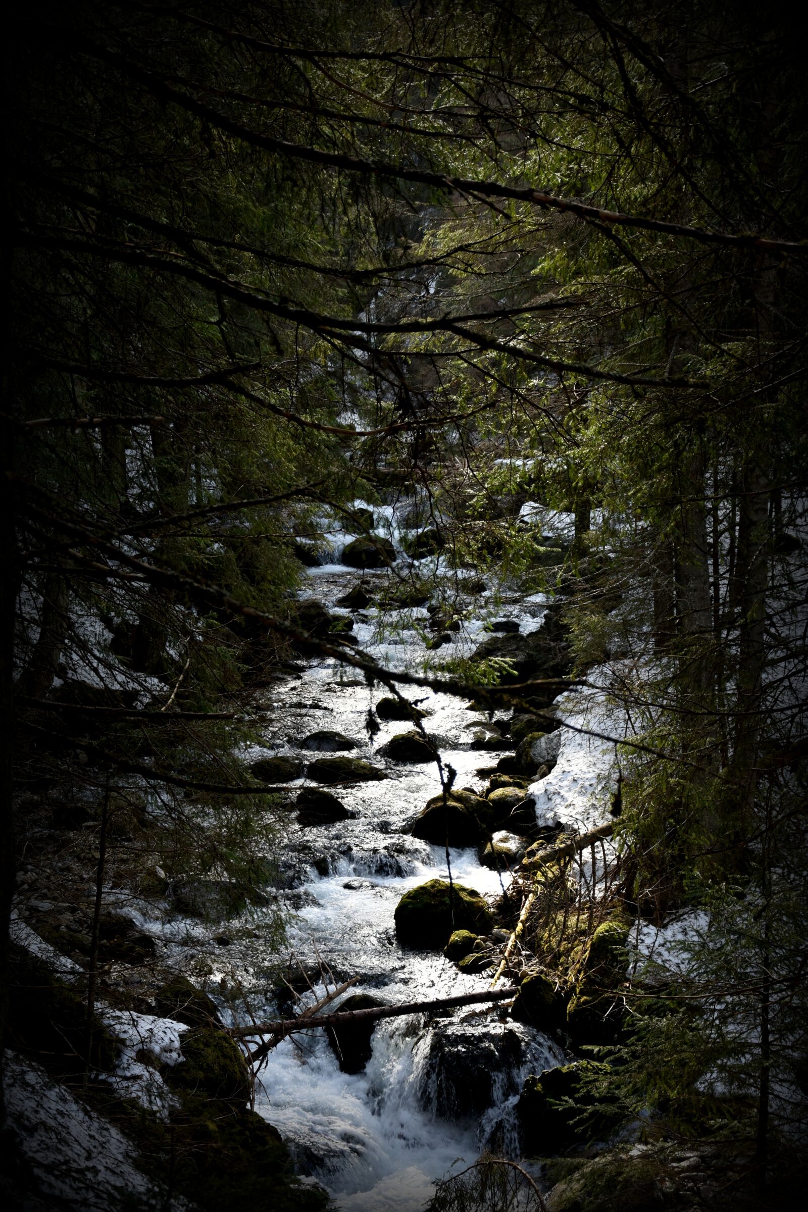 Nikon D7200 sample photo. Stream, tpn, the national photography