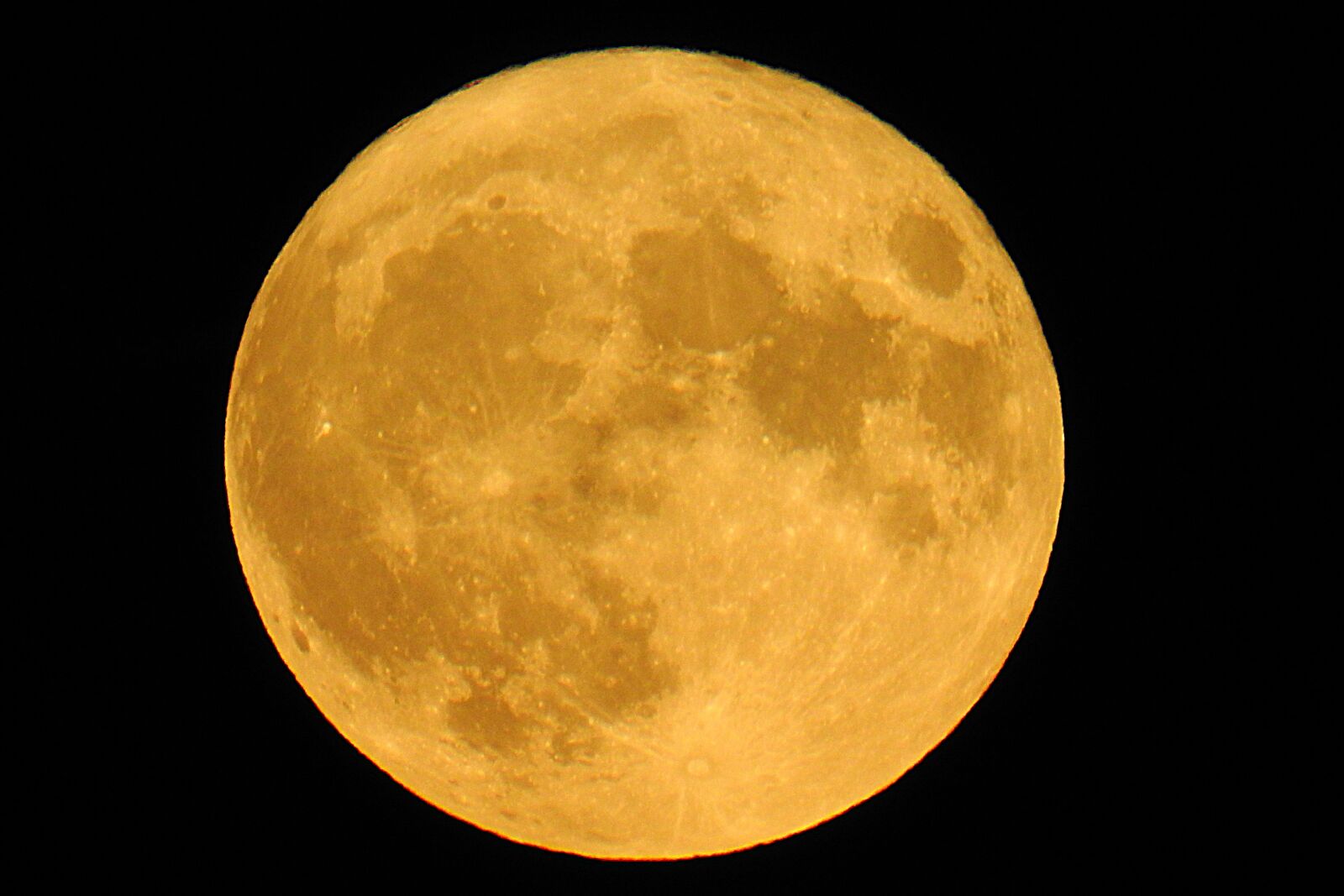 Nikon Coolpix P900 sample photo. Super full moon 2016 photography