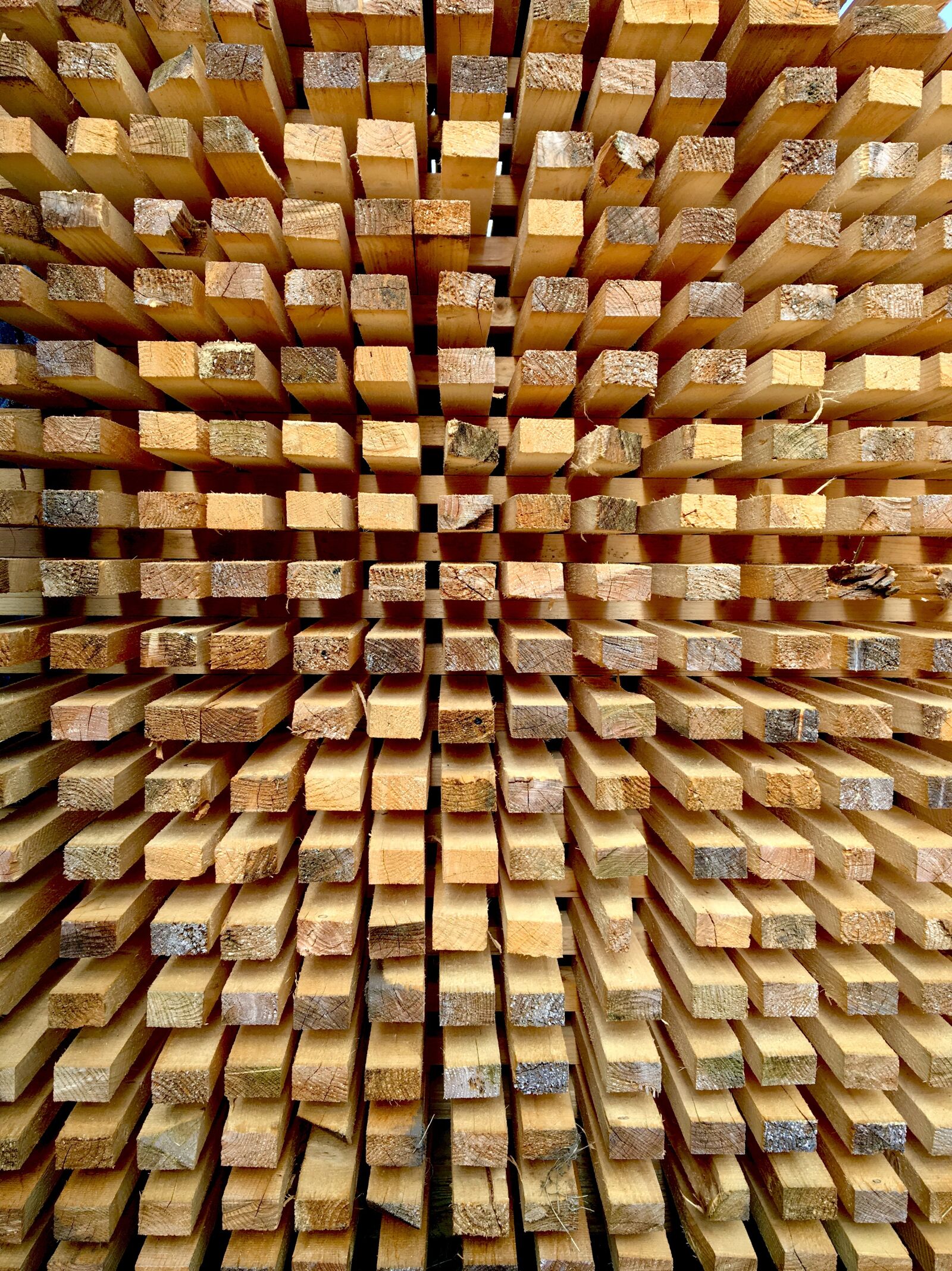 iPhone 6s back camera 4.15mm f/2.2 sample photo. Wood, stock, boards photography