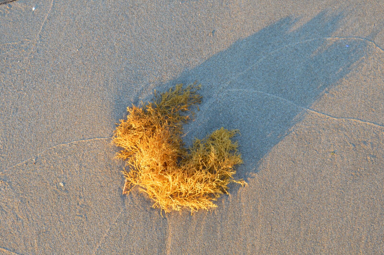 Nikon D3200 sample photo. Beach, sand, spain photography