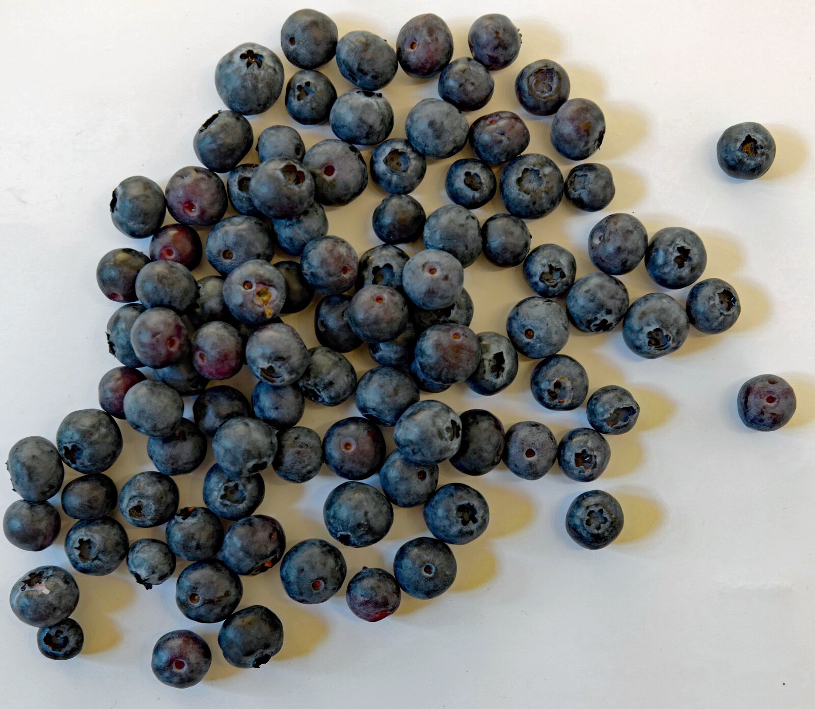 Super-Vario-Elmar-TL  1:3.5-4.5 / 11-23 ASPH. sample photo. Blueberry, berry photography