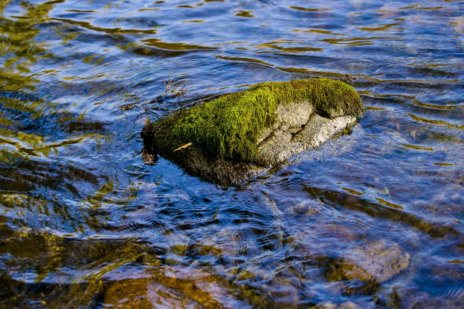Sony Alpha DSLR-A850 sample photo. Altai, mountain, river photography