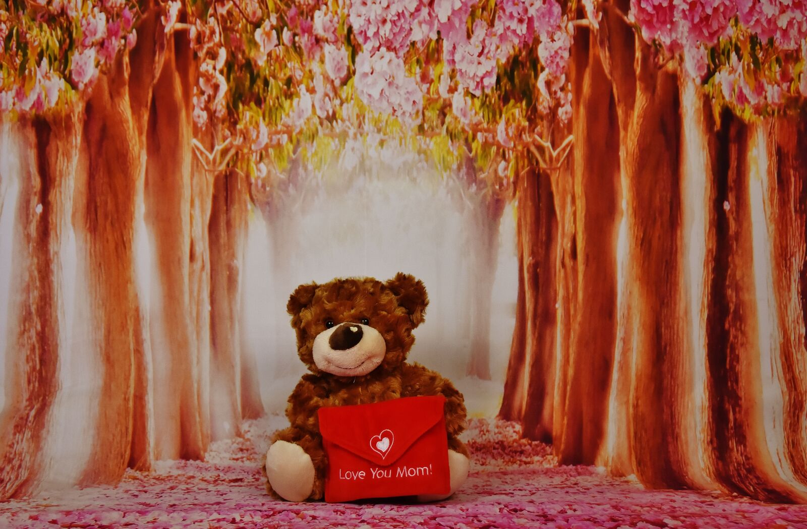 Nikon D7200 sample photo. Mother's day, teddy, greeting photography