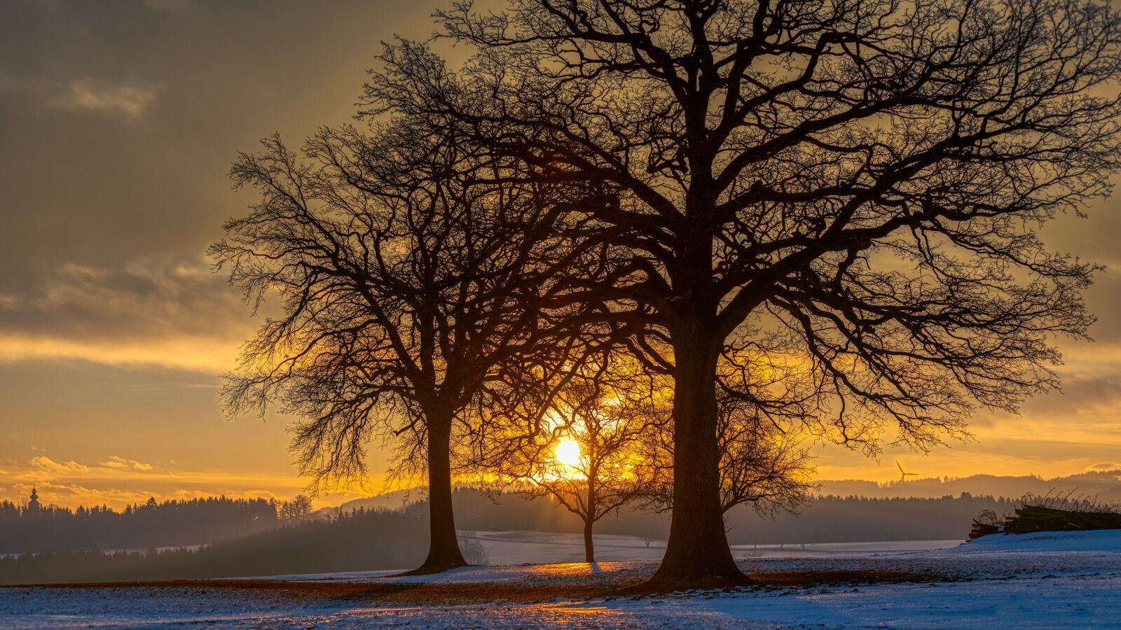 Minolta/Sony AF 70-200mm F2.8 G sample photo. Tree, sunrise, landscape photography