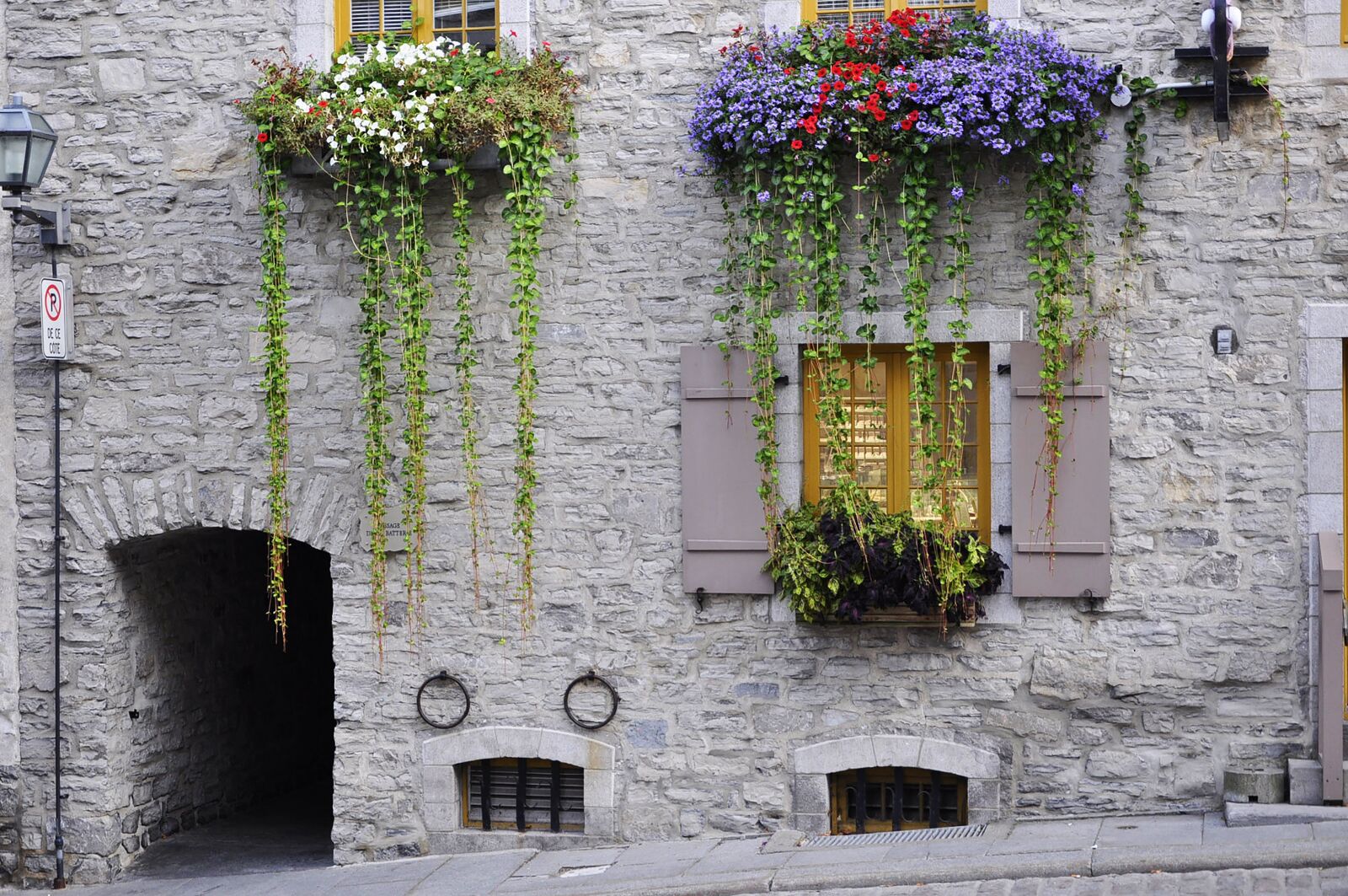 Nikon D5000 sample photo. Quebec, street, windows photography