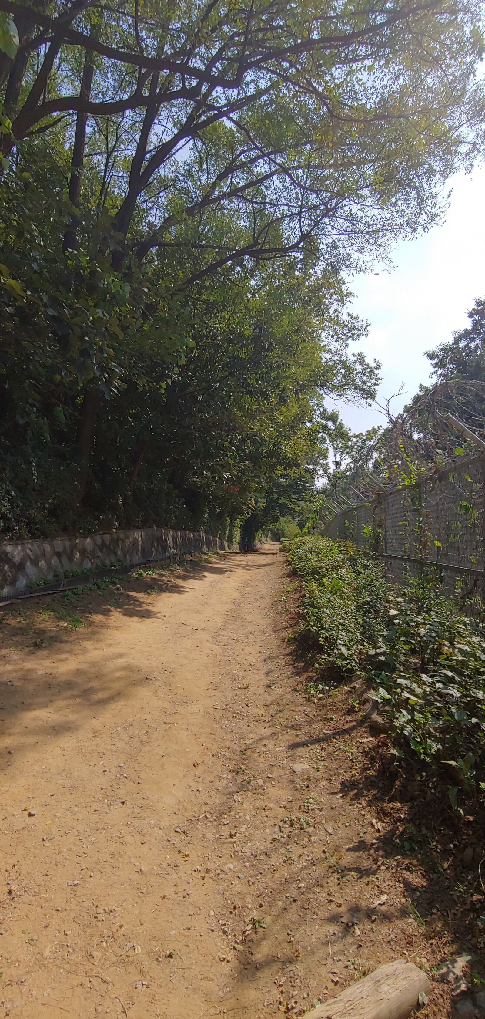 LG LM-G710N sample photo. 휴가, 산책, 한가롭게 거닐다 photography