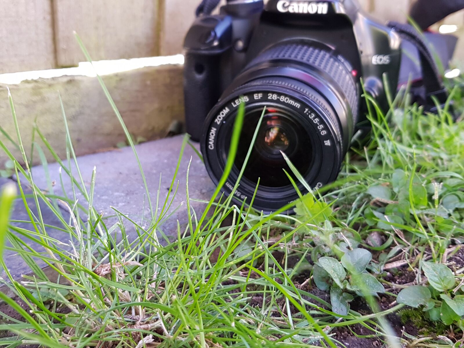 Samsung Galaxy S8 sample photo. Camera, grass, photography photography