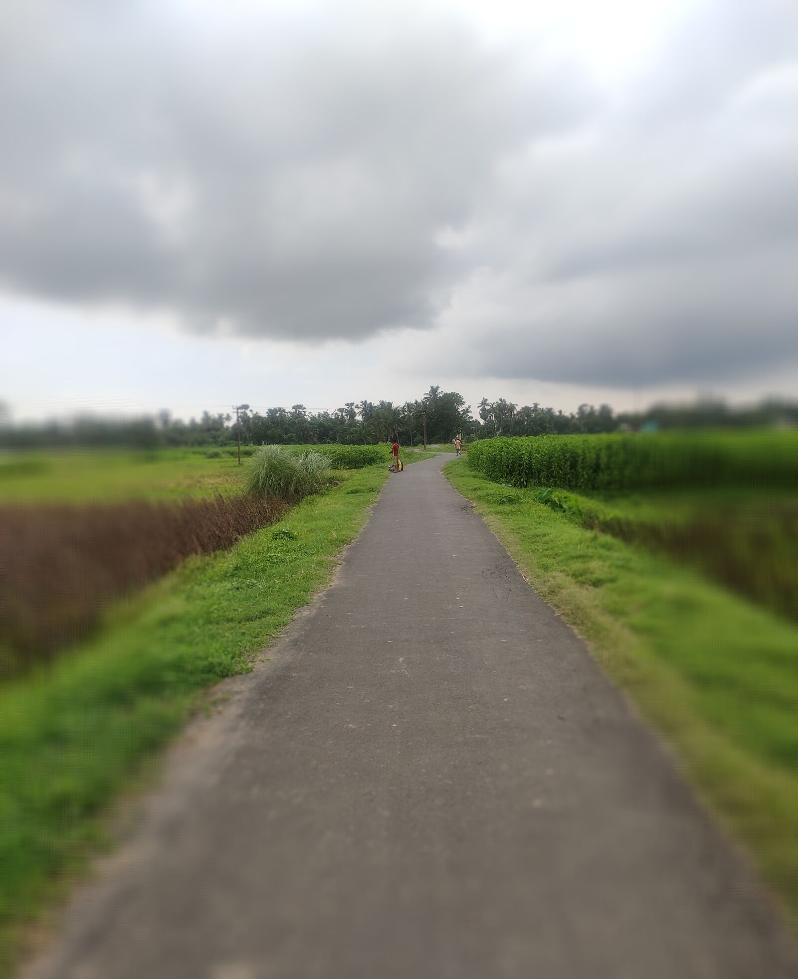 Xiaomi Redmi Note 7 Pro sample photo. Road, field, cloud photography