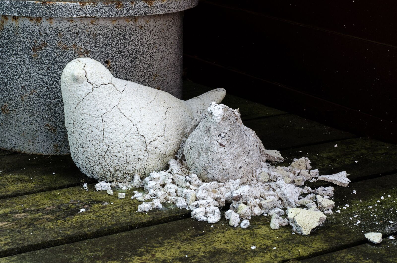 Nikon D7000 sample photo. Degraded, deterioration, birds photography