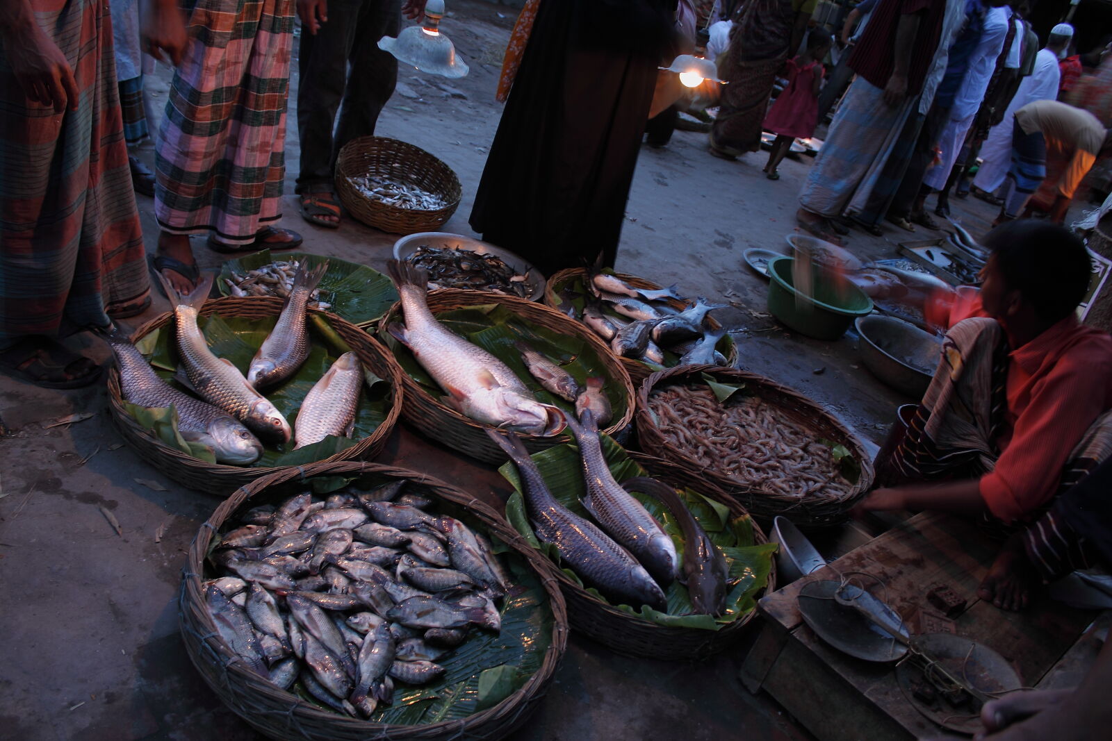 Canon EF-S 18-55mm F3.5-5.6 IS sample photo. Bangladesh, canal, fish, fisherman photography