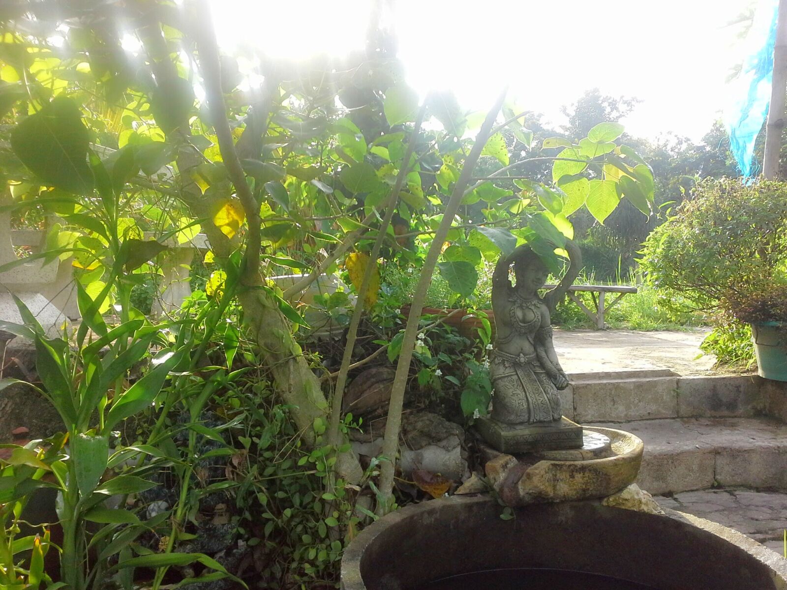 Samsung Galaxy Note 10.1 sample photo