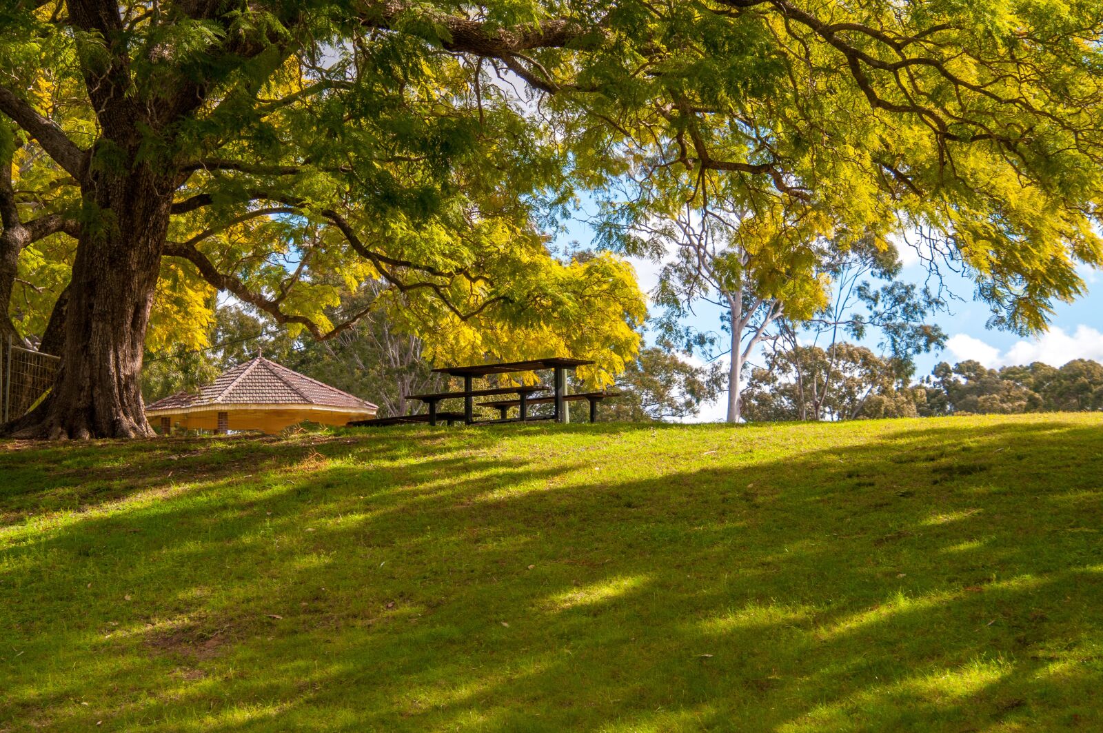 Nikon D300 sample photo. Park, garden, green photography
