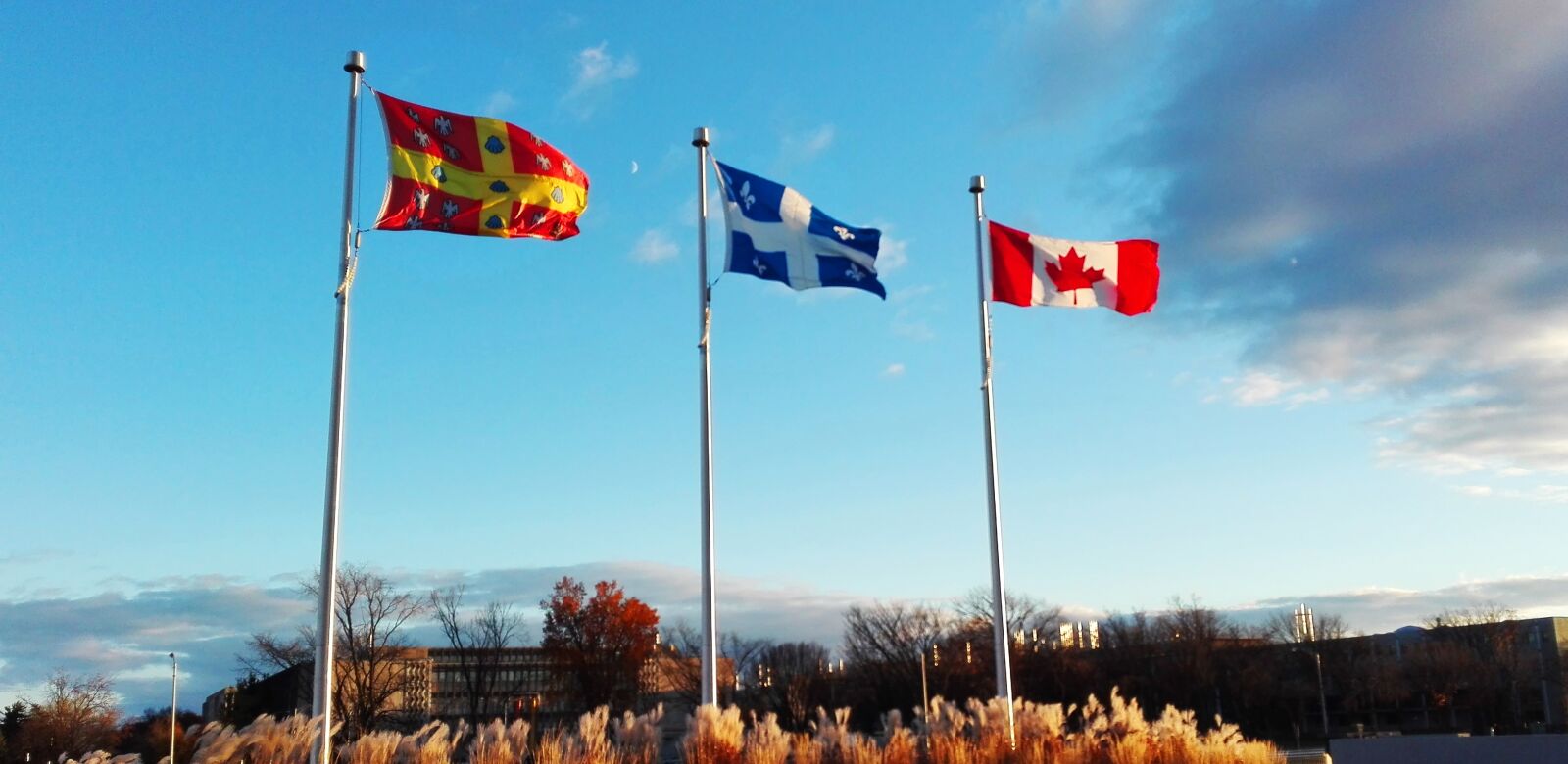 HUAWEI P8 Lite sample photo. Flag, canada, québec photography