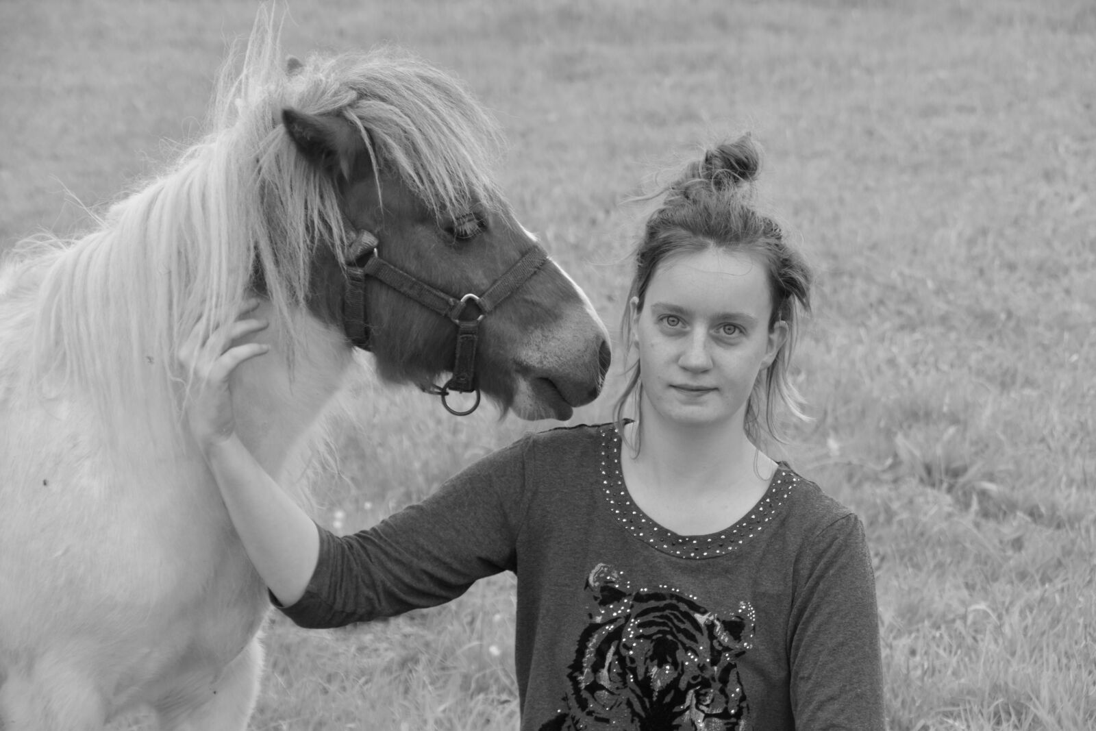 Nikon D5600 sample photo. Shetland pony, black and photography